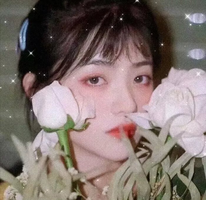 新月圆花残断肠时